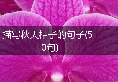 描写秋天桔子的句子(50句)