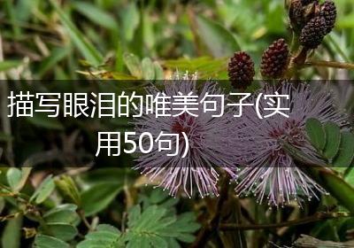 描写眼泪的唯美句子(实用50句)