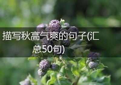 描写秋高气爽的句子(汇总50句)