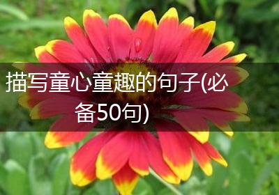 描写童心童趣的句子(必备50句)