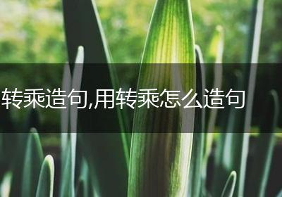 转乘造句,用转乘怎么造句