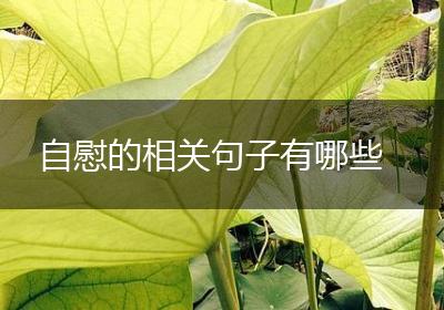 自慰的相关句子有哪些