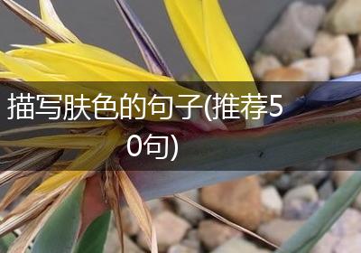 描写肤色的句子(推荐50句)