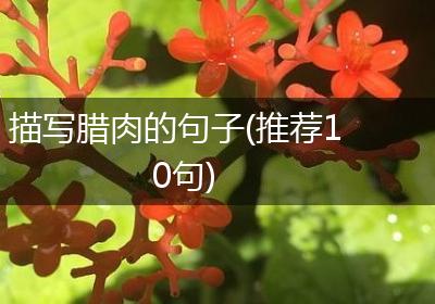 描写腊肉的句子(推荐10句)
