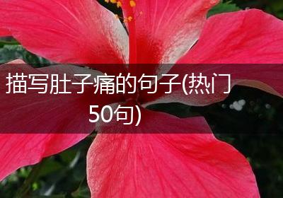 描写肚子痛的句子(热门50句)