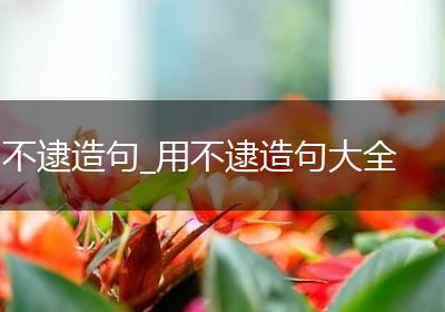 不逮造句_用不逮造句大全