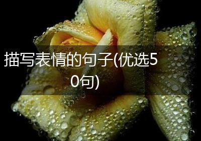 描写表情的句子(优选50句)