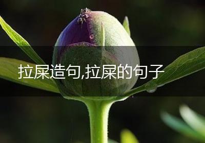 拉屎造句,拉屎的句子