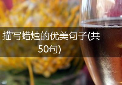 描写蜡烛的优美句子(共50句)