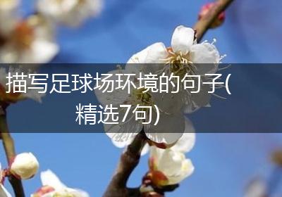 描写足球场环境的句子(精选7句)