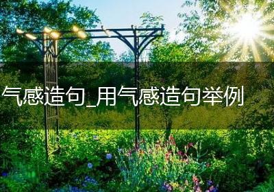 气感造句_用气感造句举例