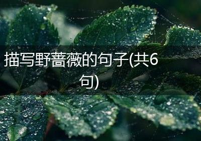 描写野蔷薇的句子(共6句)