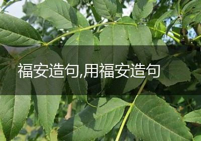 福安造句,用福安造句