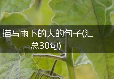 描写雨下的大的句子(汇总30句)
