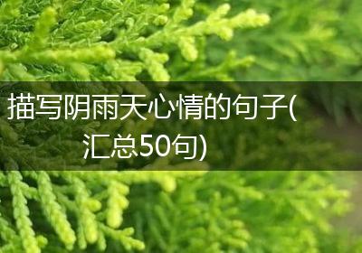 描写阴雨天心情的句子(汇总50句)