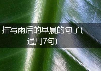 描写雨后的早晨的句子(通用7句)