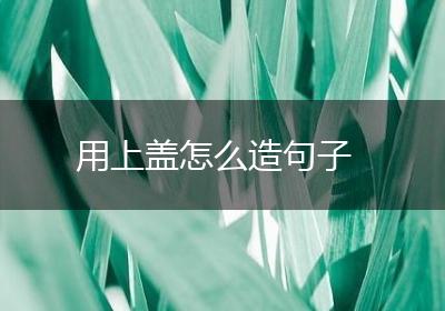 用上盖怎么造句子