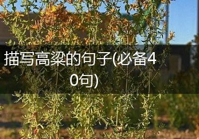 描写高粱的句子(必备40句)