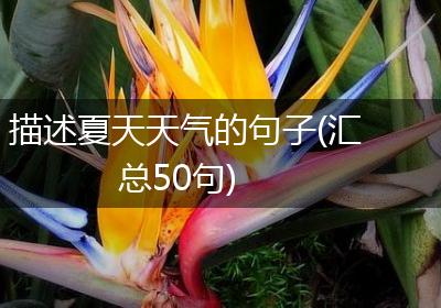 描述夏天天气的句子(汇总50句)