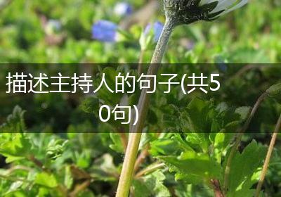 描述主持人的句子(共50句)
