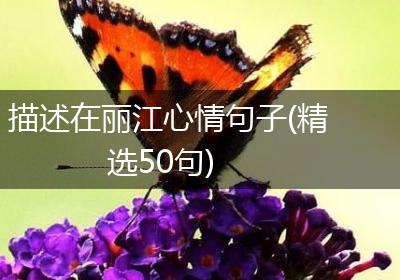 描述在丽江心情句子(精选50句)