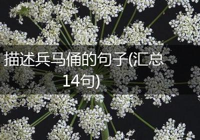 描述兵马俑的句子(汇总14句)