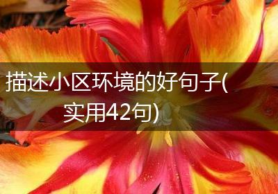 描述小区环境的好句子(实用42句)