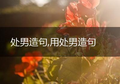 处男造句,用处男造句