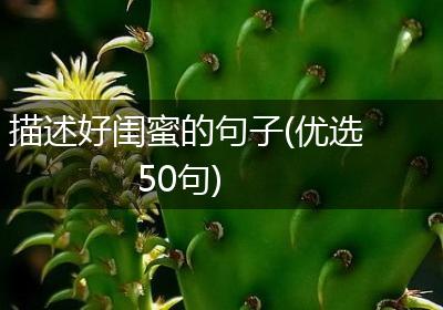 描述好闺蜜的句子(优选50句)