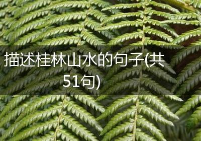 描述桂林山水的句子(共51句)
