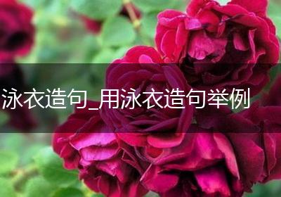 泳衣造句_用泳衣造句举例