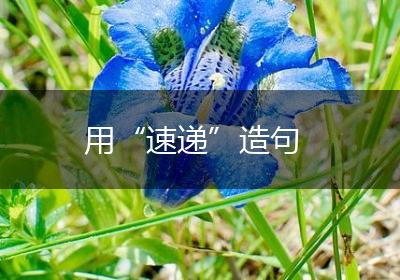 用“速递”造句