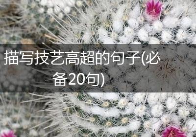 描写技艺高超的句子(必备20句)