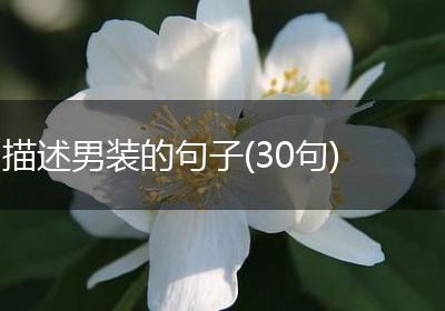 描述男装的句子(30句)