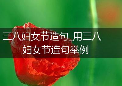 三八妇女节造句_用三八妇女节造句举例
