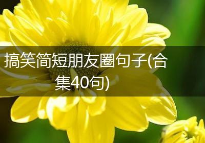搞笑简短朋友圈句子(合集40句)