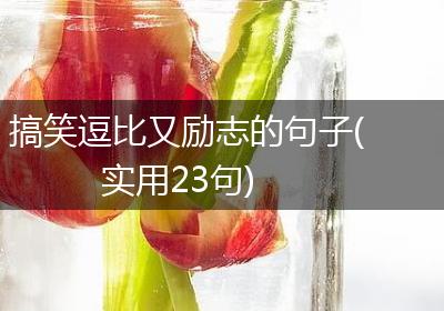 搞笑逗比又励志的句子(实用23句)