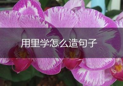 用里学怎么造句子