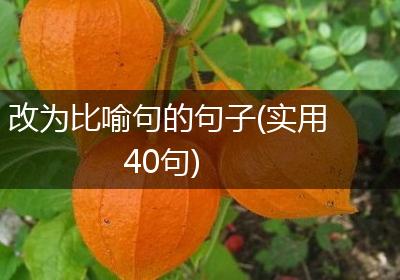 改为比喻句的句子(实用40句)