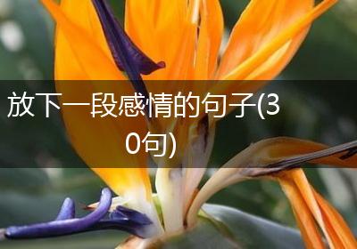 放下一段感情的句子(30句)
