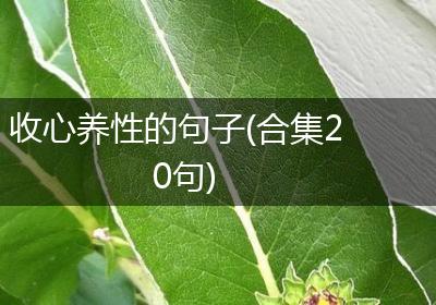 收心养性的句子(合集20句)