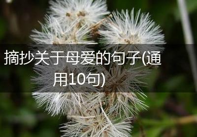 摘抄关于母爱的句子(通用10句)
