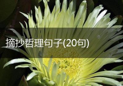 摘抄哲理句子(20句)
