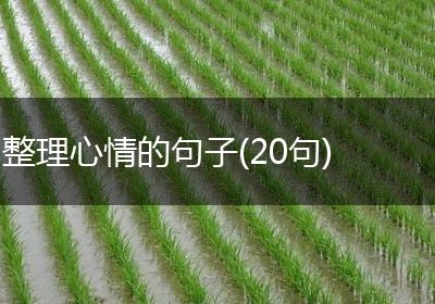 整理心情的句子(20句)