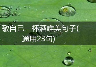 敬自己一杯酒唯美句子(通用23句)