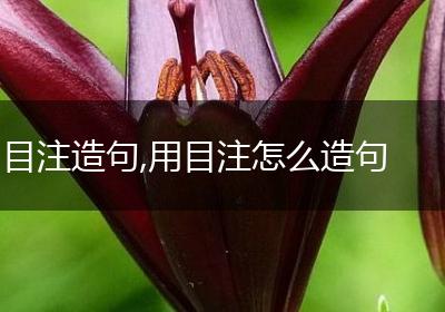 目注造句,用目注怎么造句