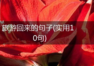 旅游回来的句子(实用10句)