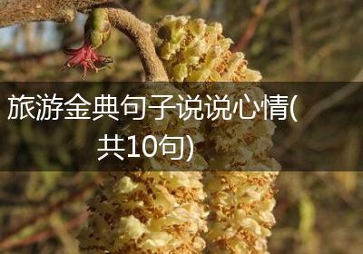 旅游金典句子说说心情(共10句)