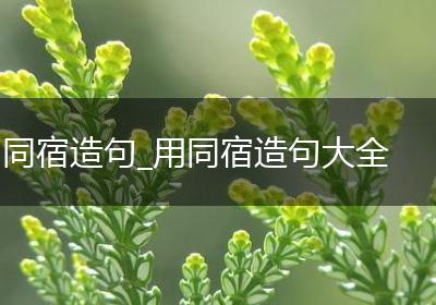 同宿造句_用同宿造句大全