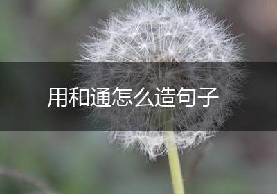 用和通怎么造句子
